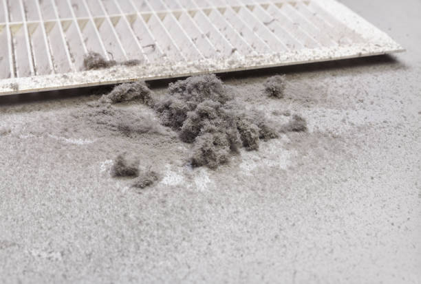 Best HVAC Duct Inspection Services  in Bondurant, IA