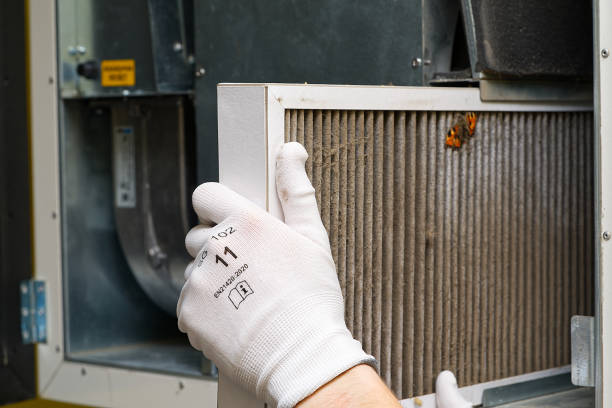 Best Dryer Vent Cleaning Services  in Bondurant, IA