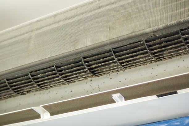 Best Duct Cleaning for Homes  in Bondurant, IA